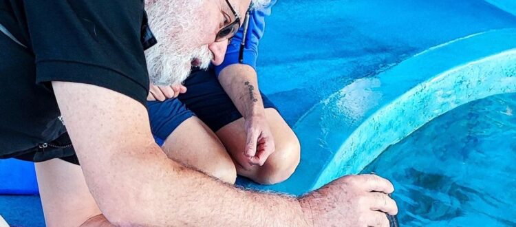 The uShaka Sea World dolphins were visited by veterinary dental specialist Dr Tutt