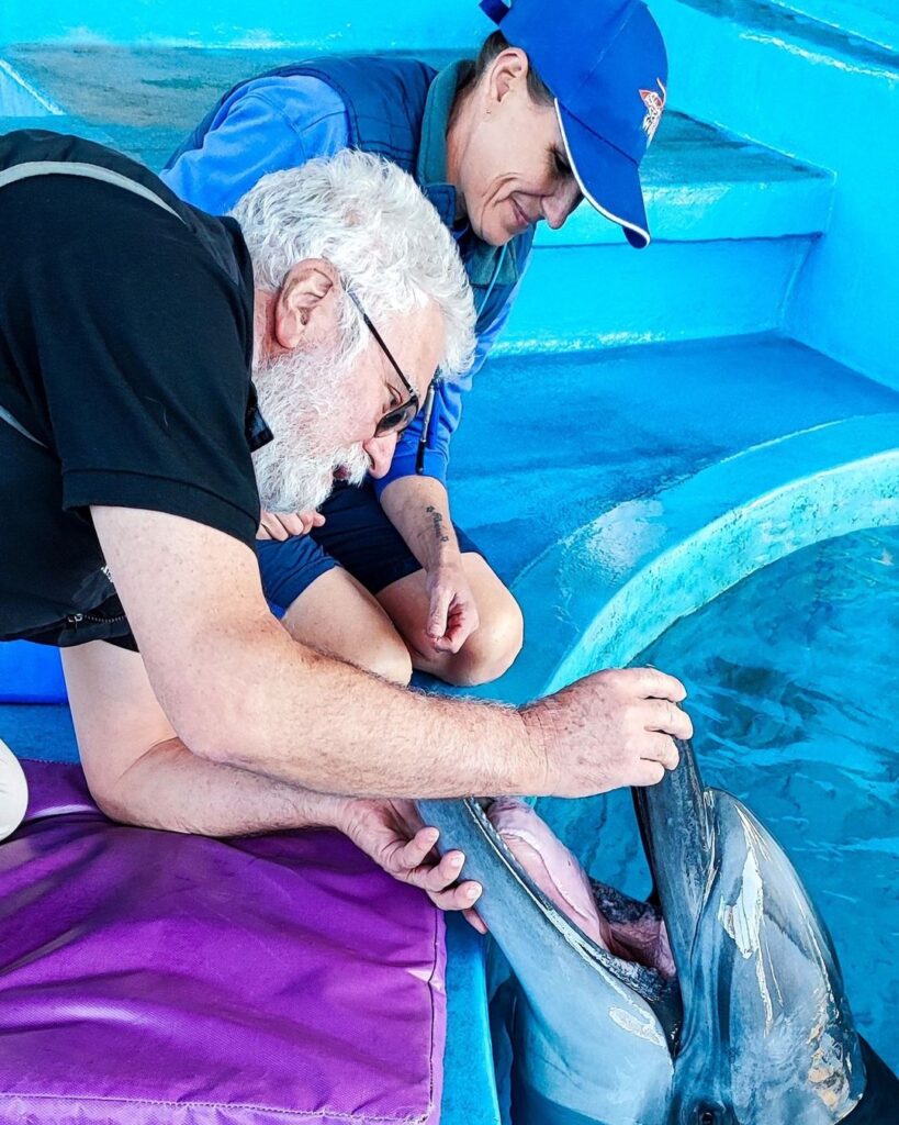 The uShaka Sea World dolphins were visited by veterinary dental specialist Dr Tutt
